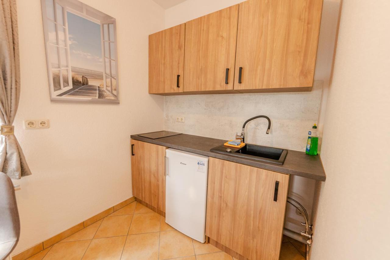 Elbpension & Ferienwohnung Saechsische Schweiz Pirna Extérieur photo